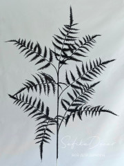 Папоротник